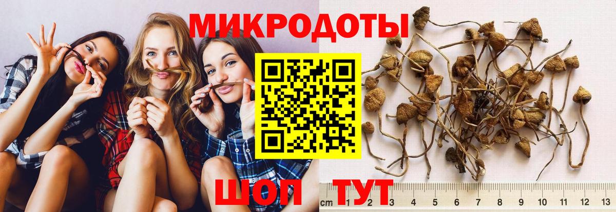 Нововоронеж  Галлюциногенные грибы Magic Shrooms  продажа наркотиков  Псилоцибиновые грибы Cubensis  Вход с VPN 
